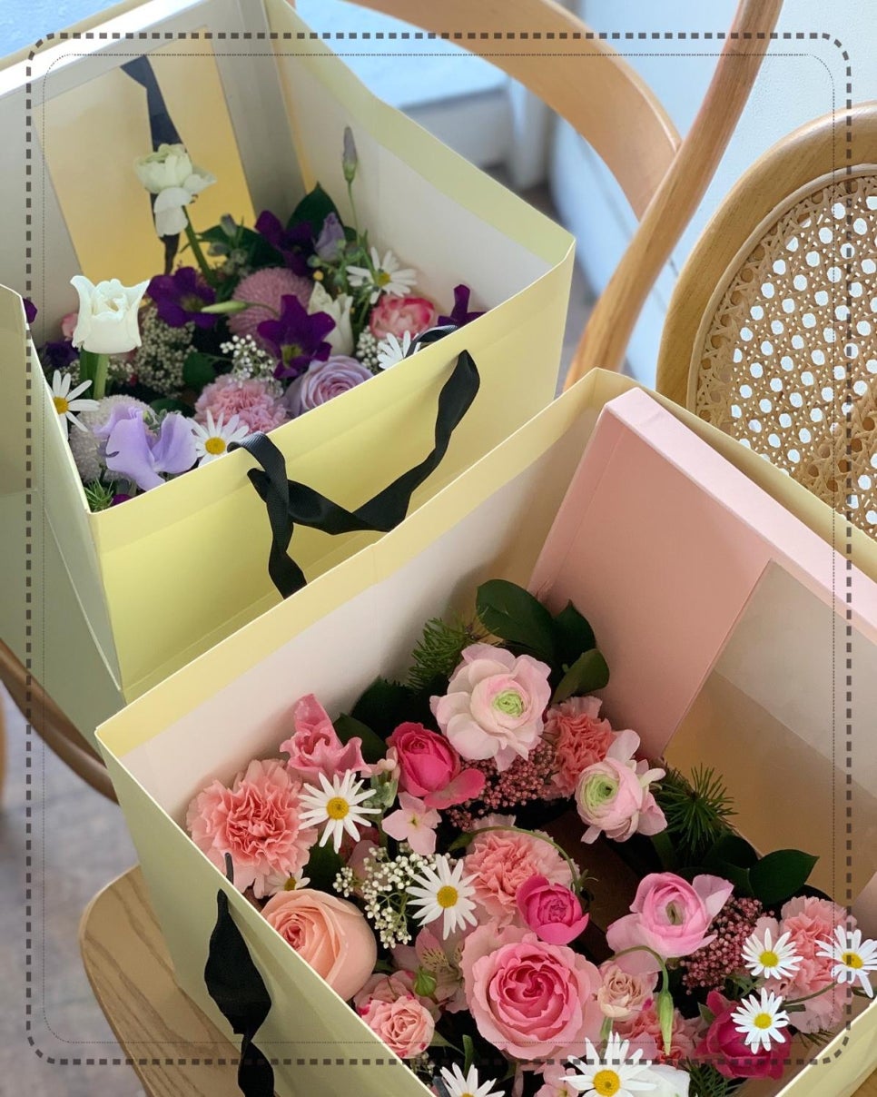 아레스&마셀 이미지