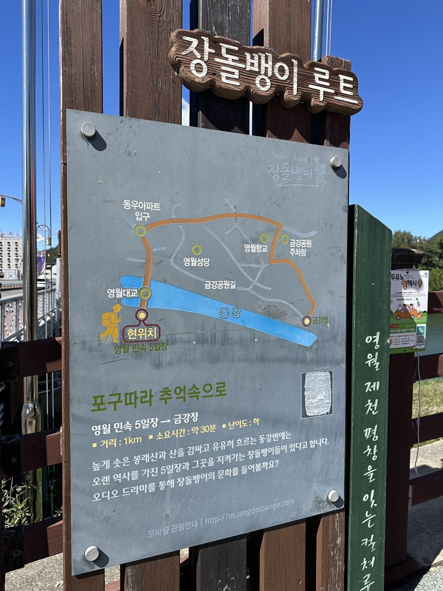 별마로버섯 이미지