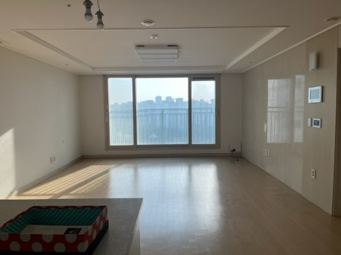 디자인신한 이미지