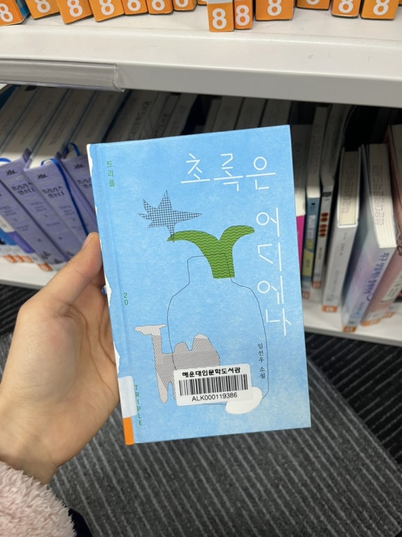 초록색돌고래 이미지
