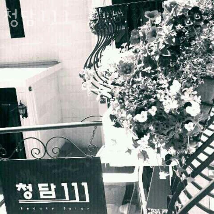 청담111 이미지