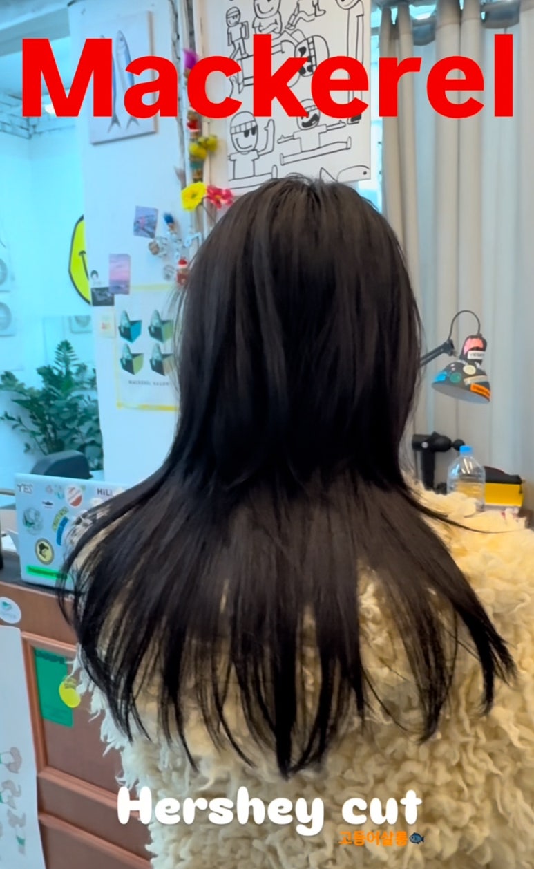스타일 미용실 이미지