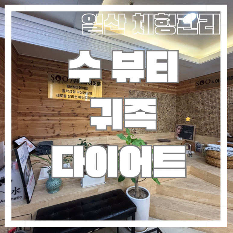 수뷰티&귀족다이어트 이미지