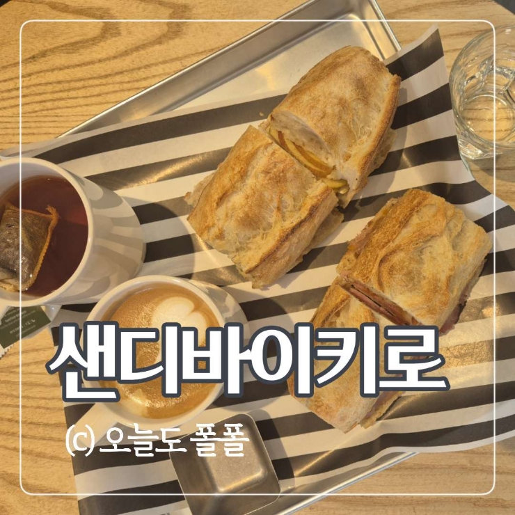 샌디바이키로 이미지