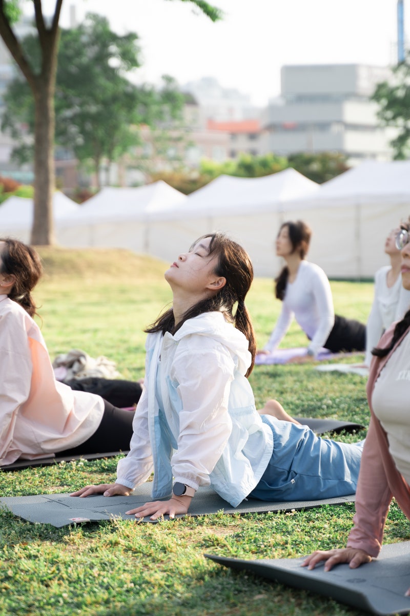 수리야 이미지