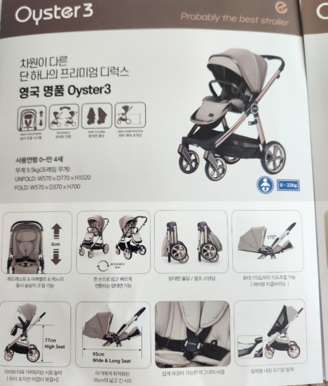 셀플러스브라운 이미지