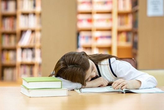 제돈식당 이미지