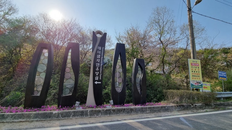 진안마이산장어 이미지