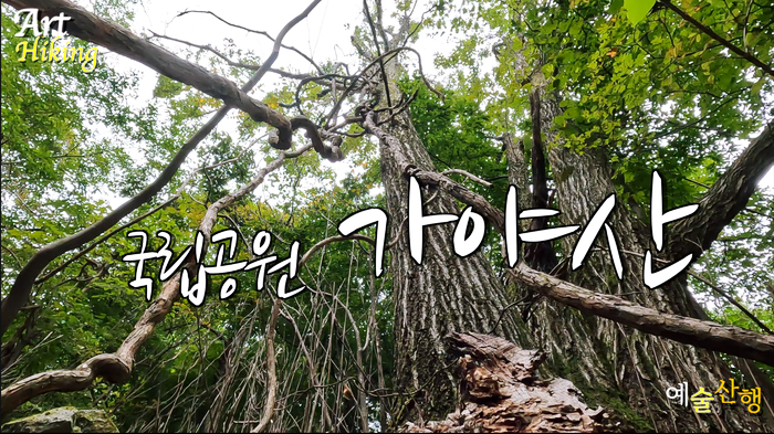 가야산 이미지
