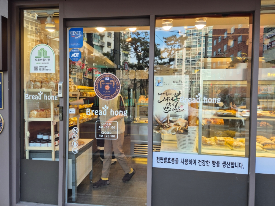 브레드홍 이미지