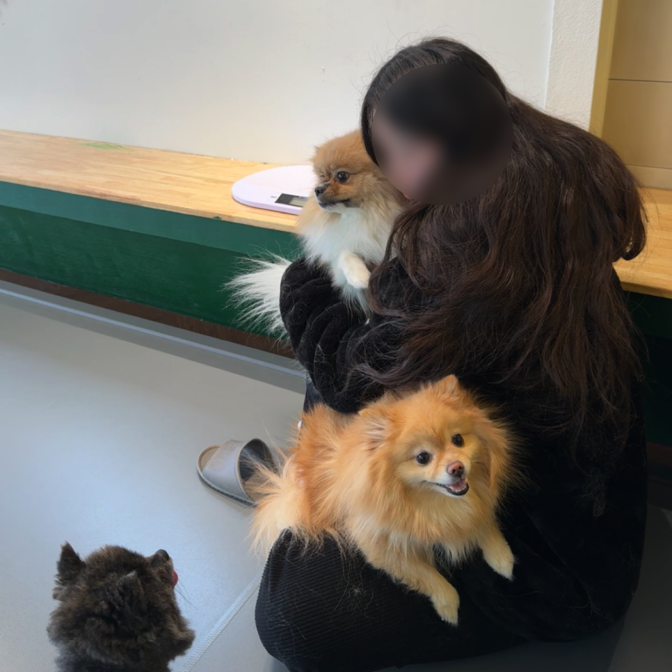 짜세프렌즈 이미지