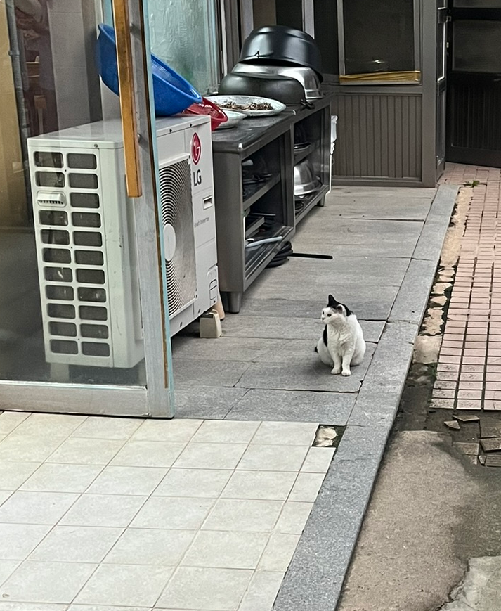 육화당 이미지