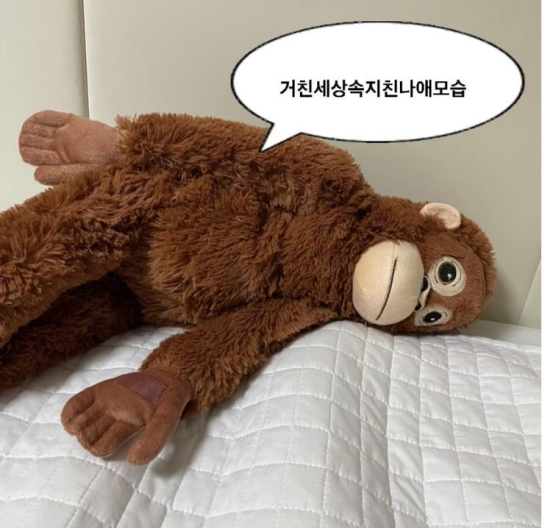 멀티기획 이미지