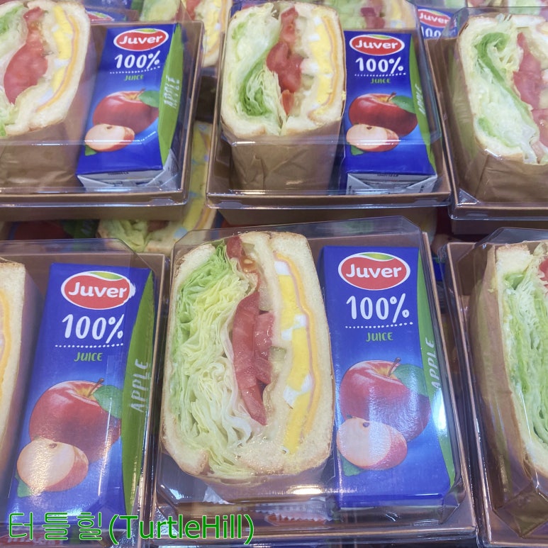 터틀힐 이미지