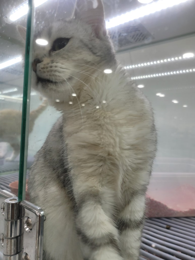 구미도로시 이미지