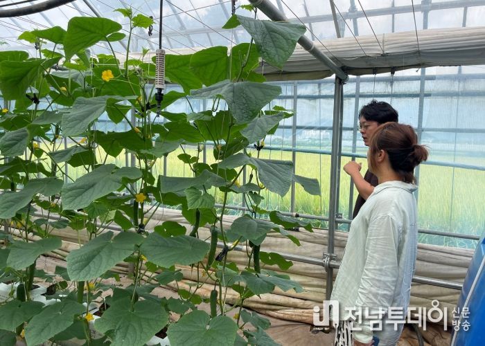 스마트컨설팅 이미지