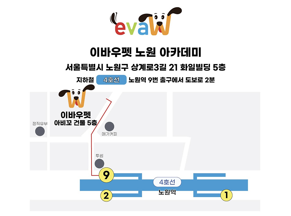 노원 애견미용학원 무료 미용 후기 및 비용 안내 — 사진 7