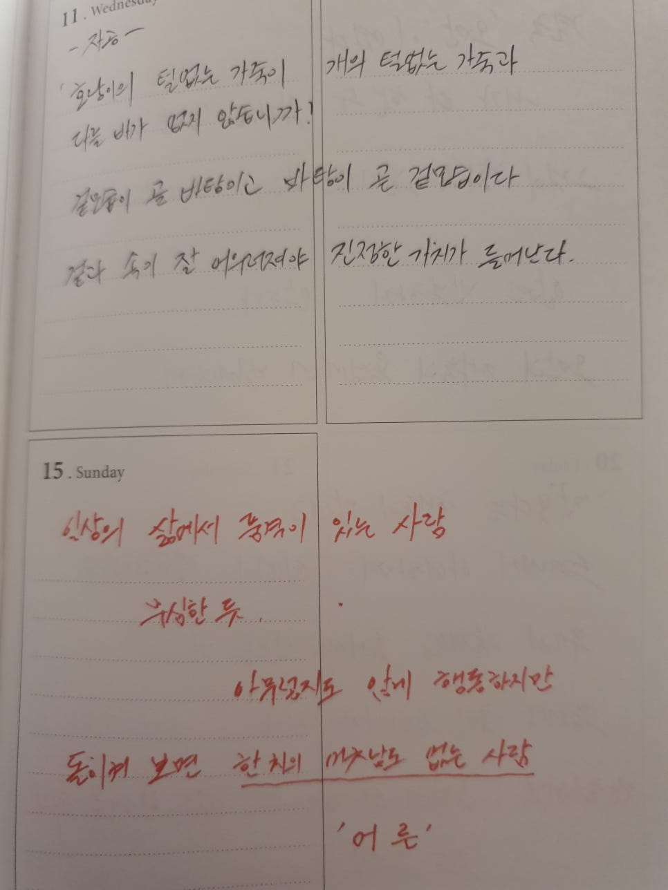 빈빈(彬彬) 이미지