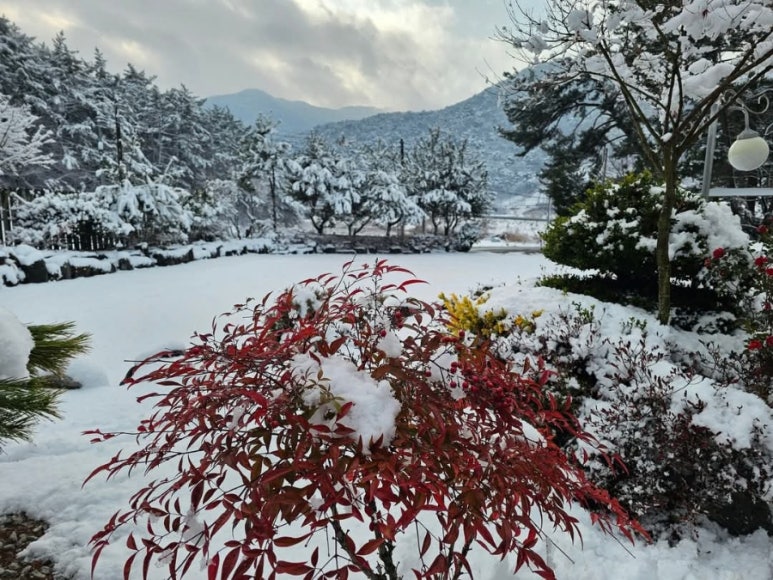 세레노펜션 이미지