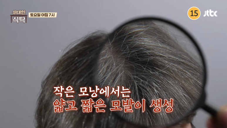 위대한식탁 이미지