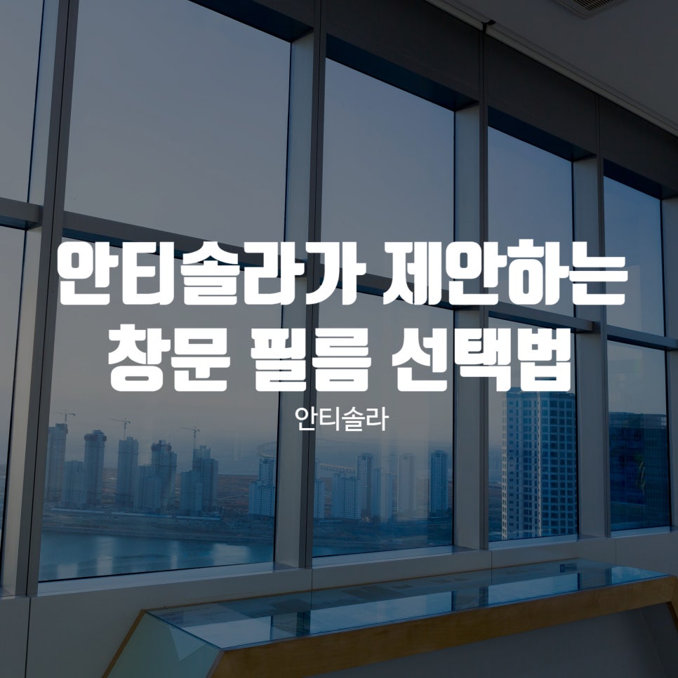 안티솔라 이미지