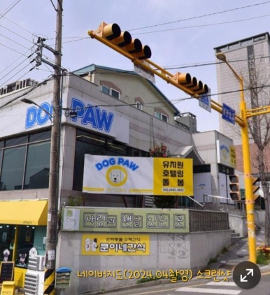 도그파우 이미지