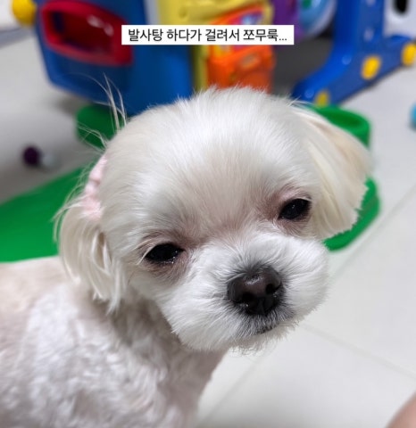 없음 이미지