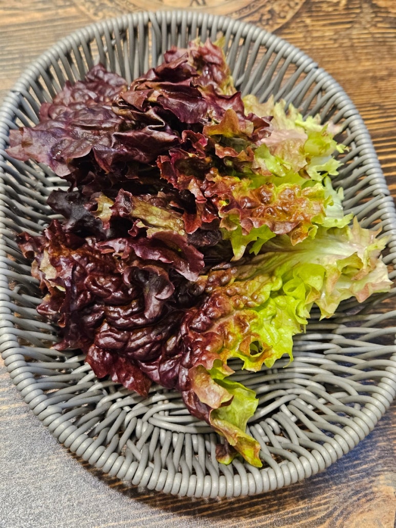 더조은족발 이미지