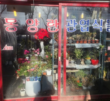 에덴꽃화원 이미지