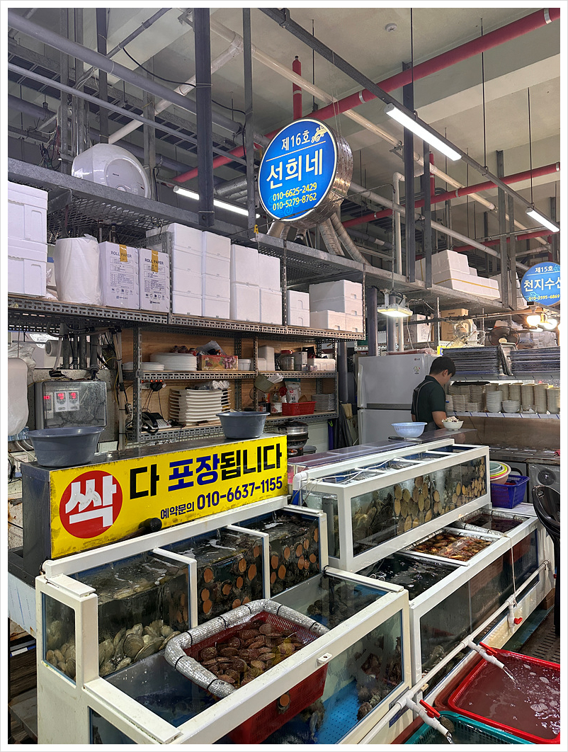 선희네 이미지