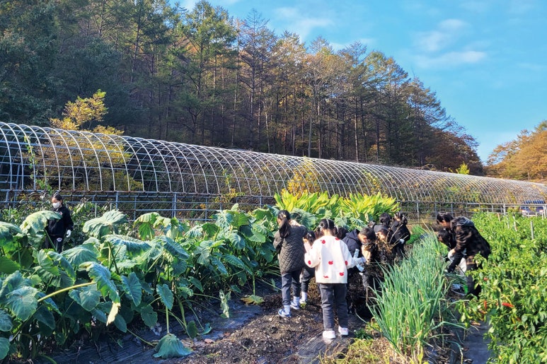 산모랭이풀내음 이미지