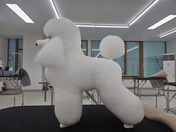 핸섬가위 이미지