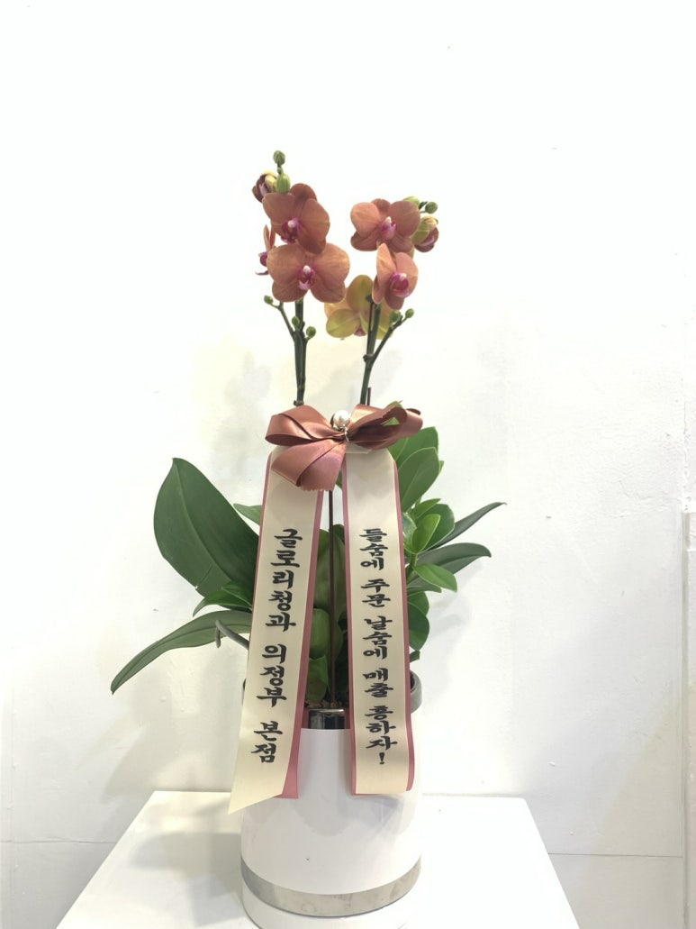 정이청과 이미지