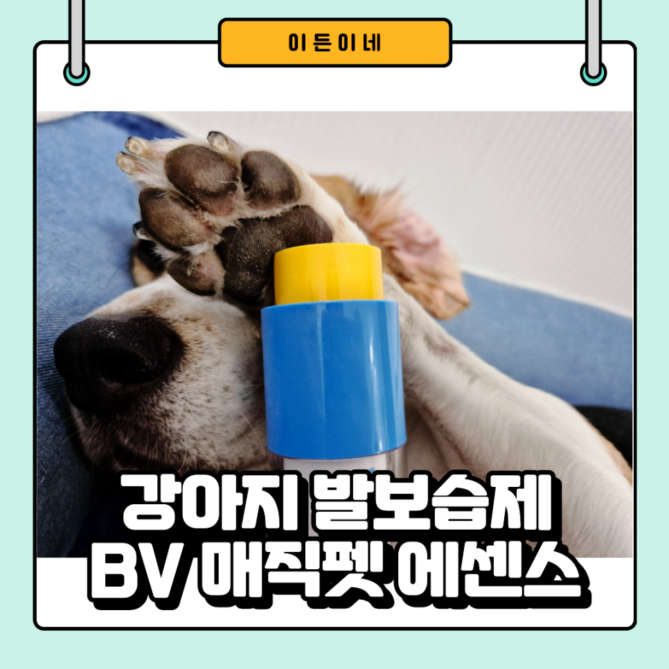 다나펫 이미지