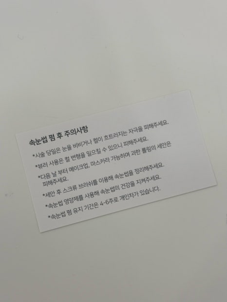 누벨르브로우 이미지