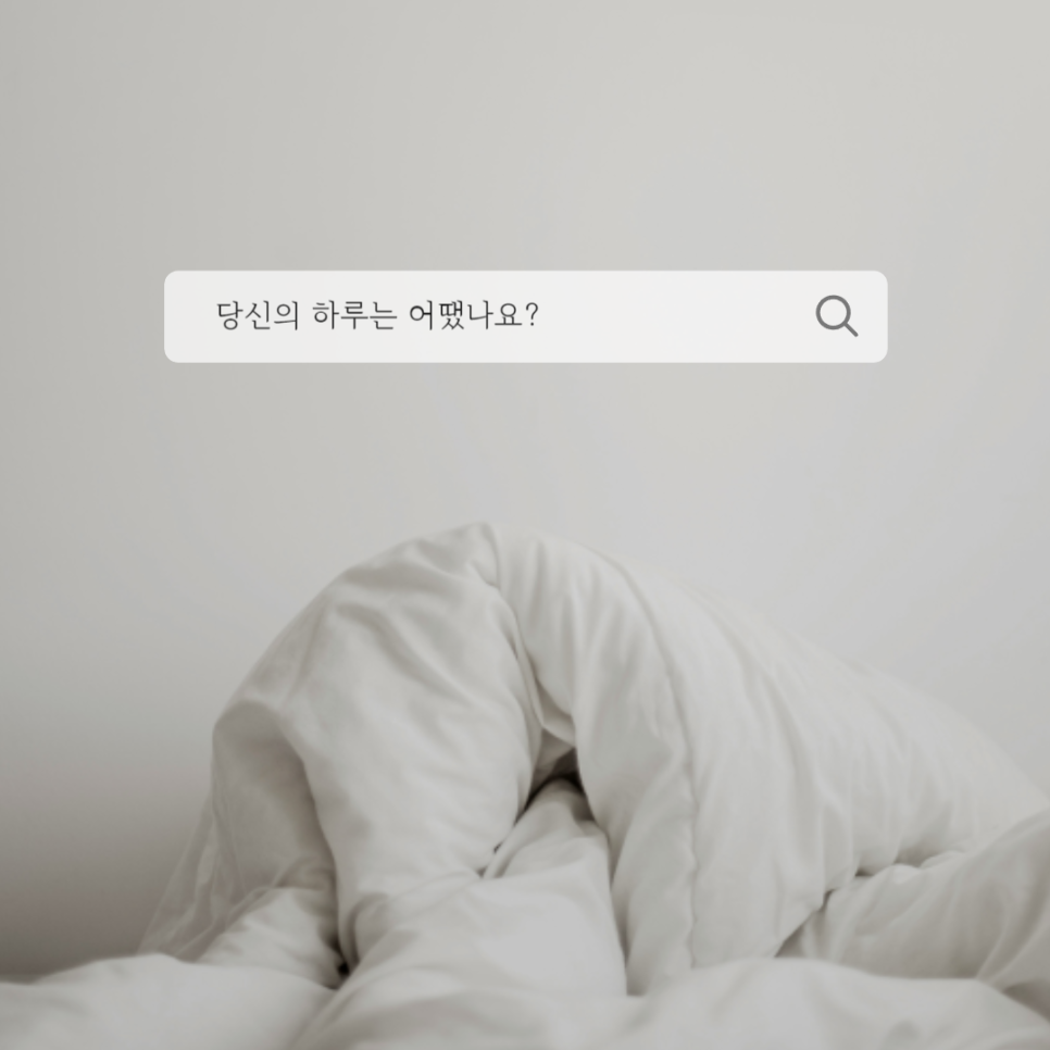 데일리플랜 이미지