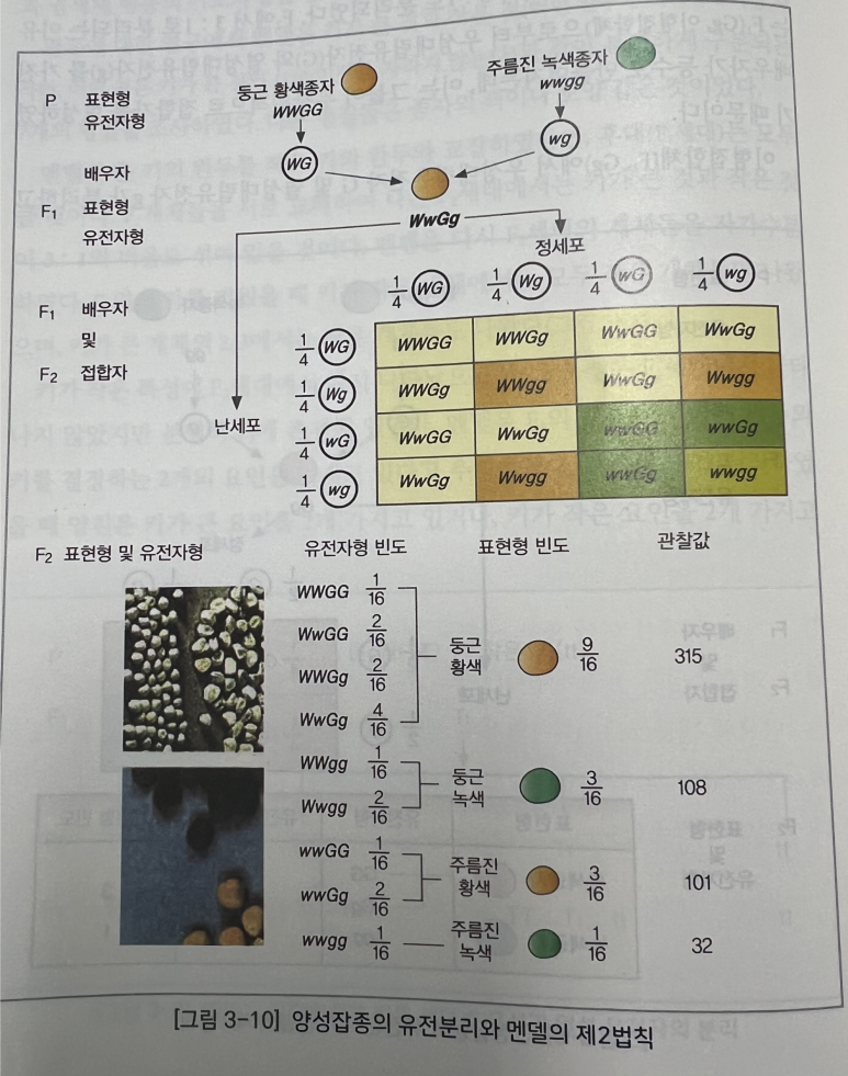 콩이통신 이미지