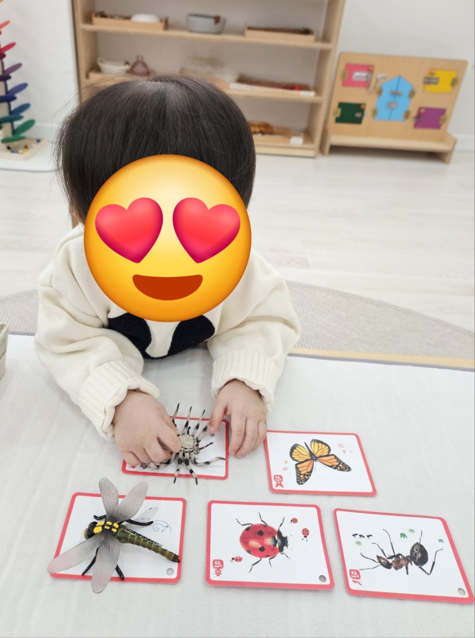 몬테베베 이미지