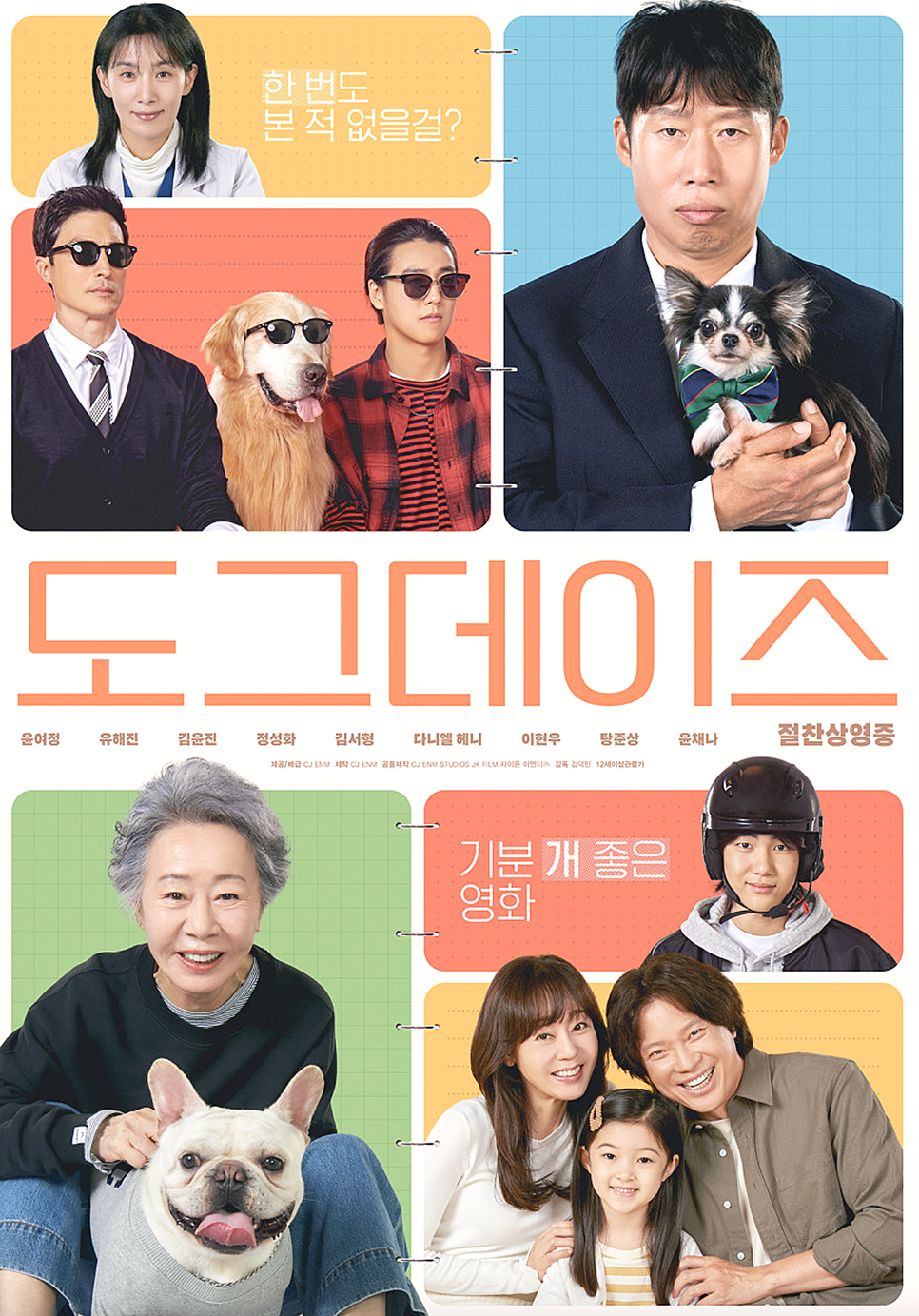 이지도그 이미지
