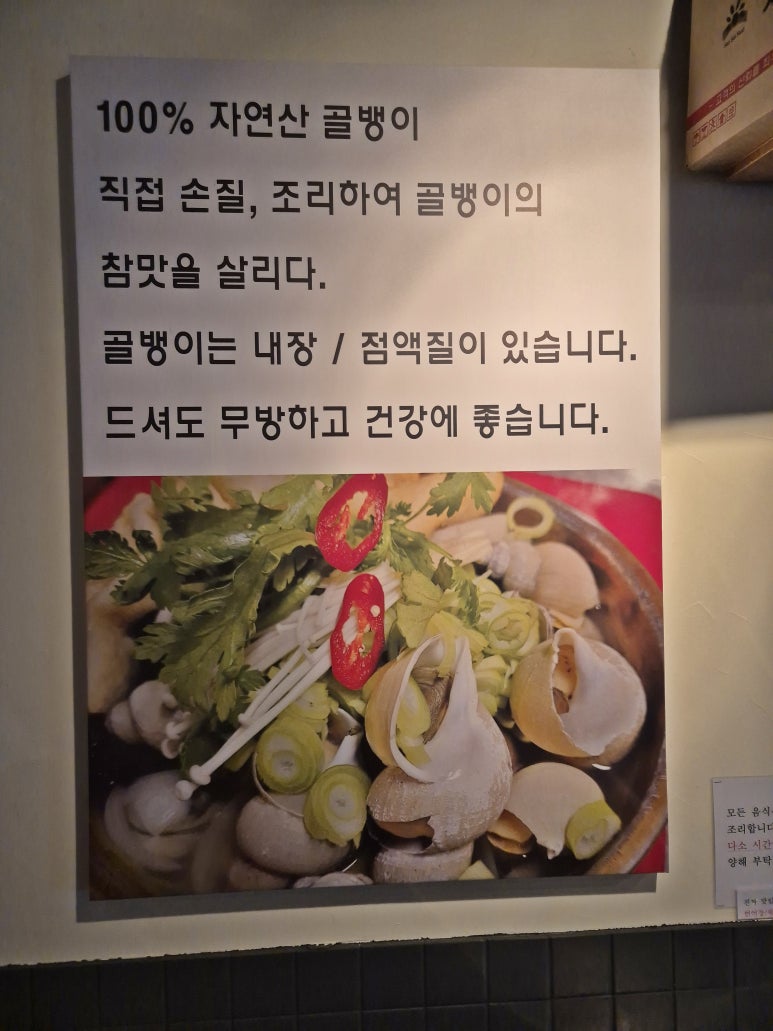 안주짱 이미지