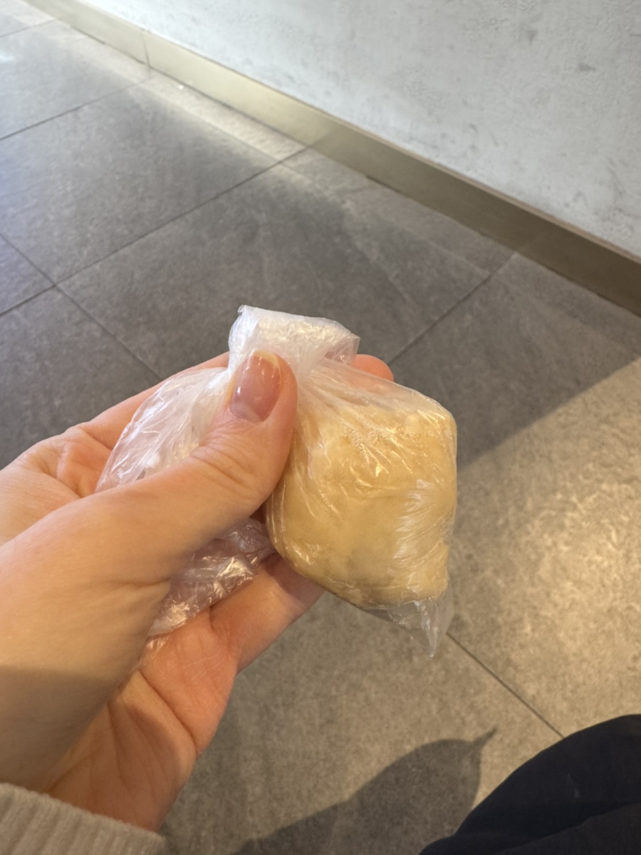 예블리콩 이미지