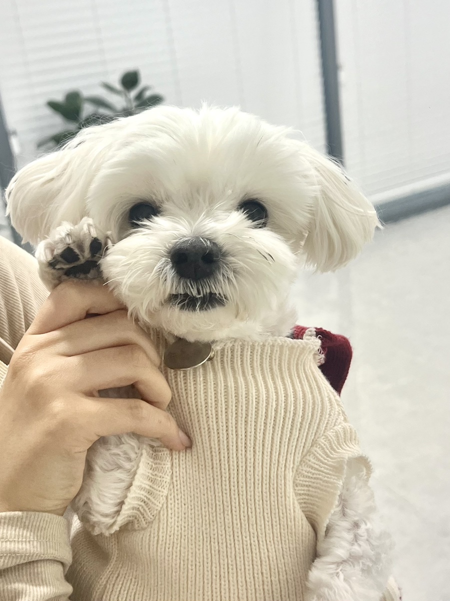 네일바이희 이미지