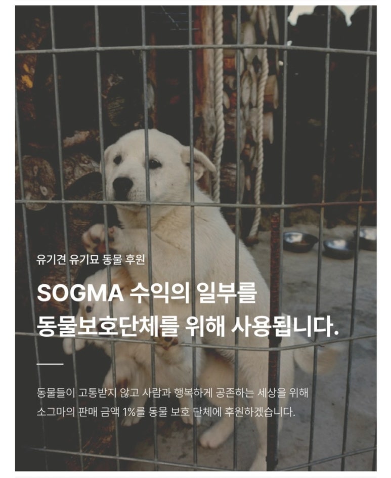 소그마 이미지