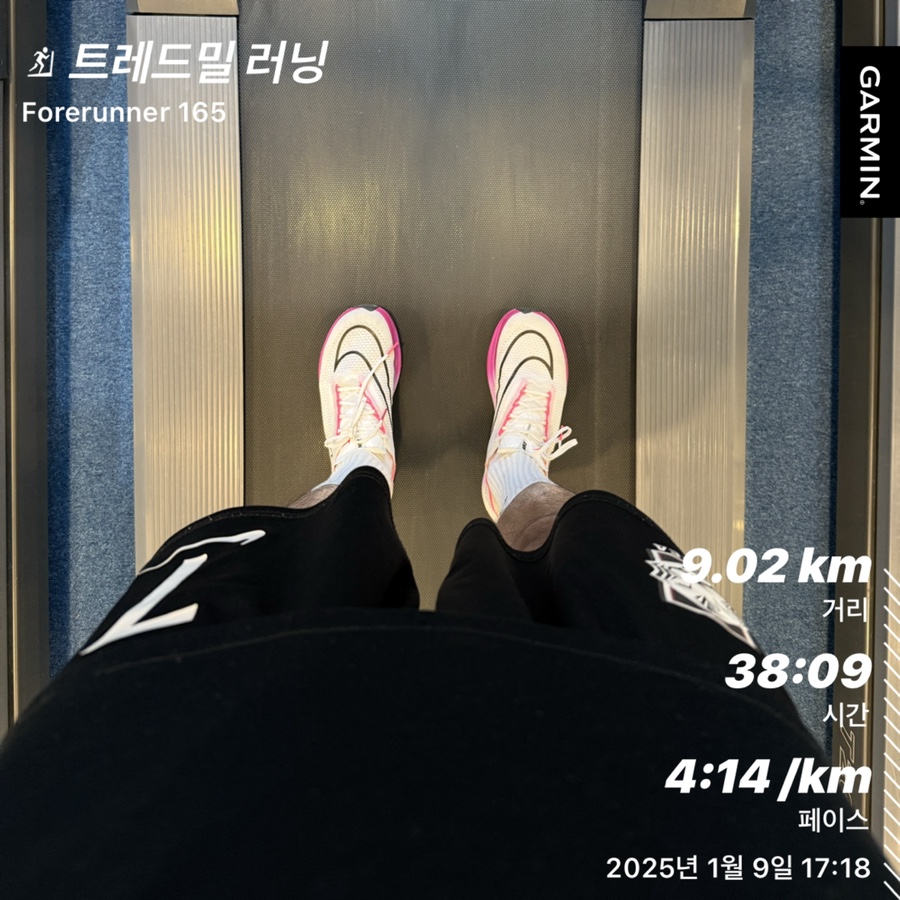 반스완 이미지