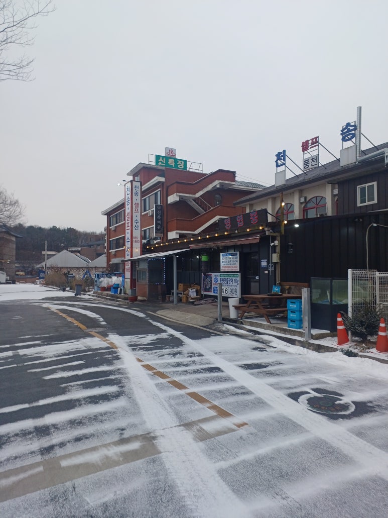 천송셀프 이미지