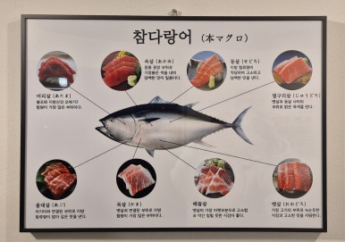 참치어신 이미지