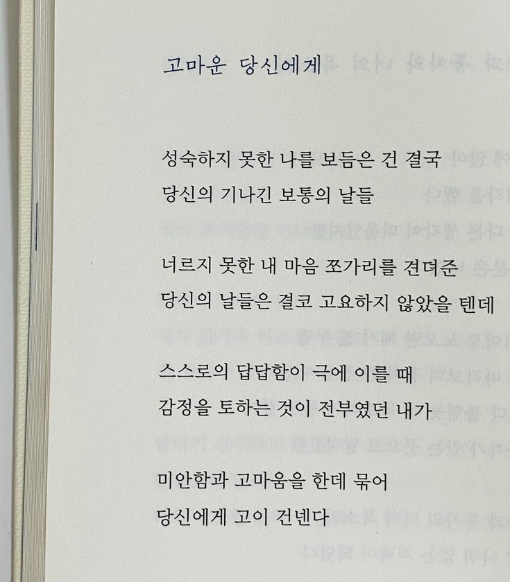 써니문 이미지