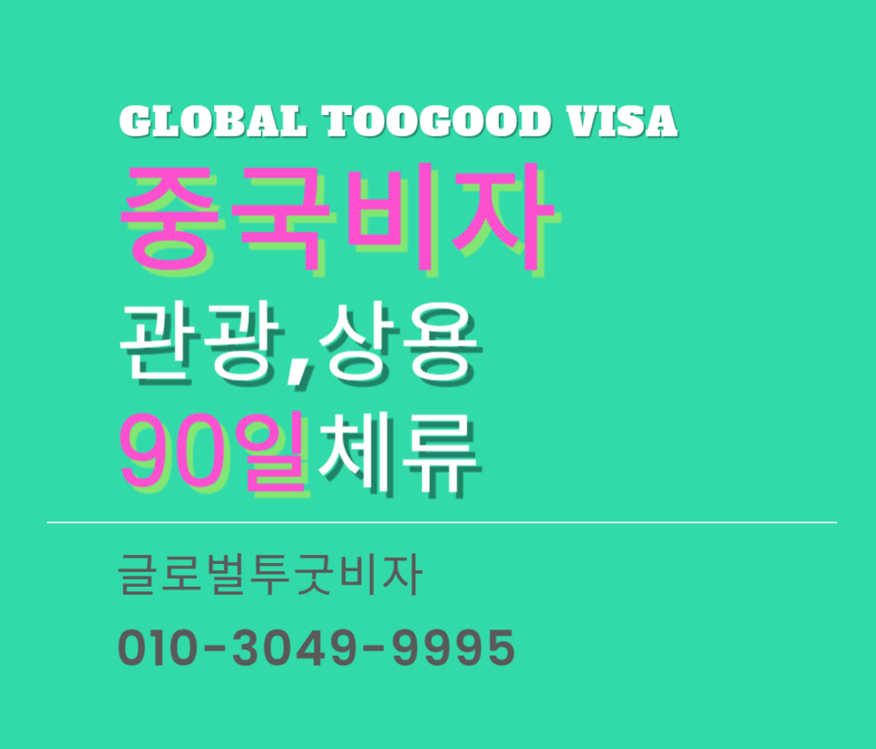 글로벌투굿비자 이미지