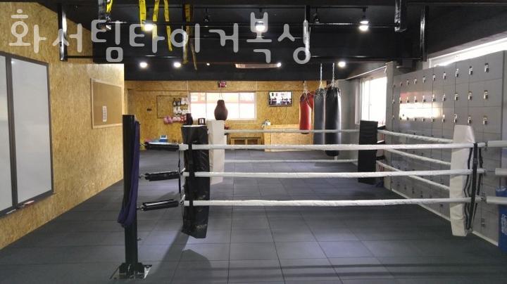화서팀타이거복싱 이미지