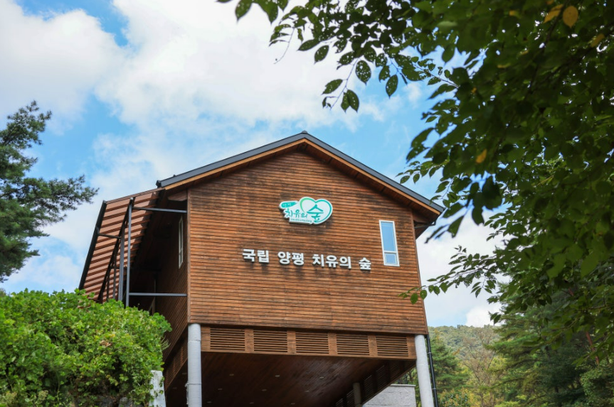 국립 양평 치유의 숲 이미지